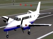 beech99.jpg