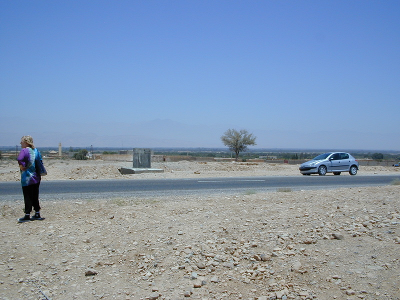 click image to load singular slide #234