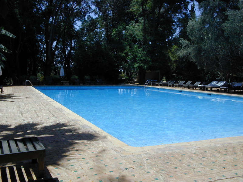 click image to load singular slide #242