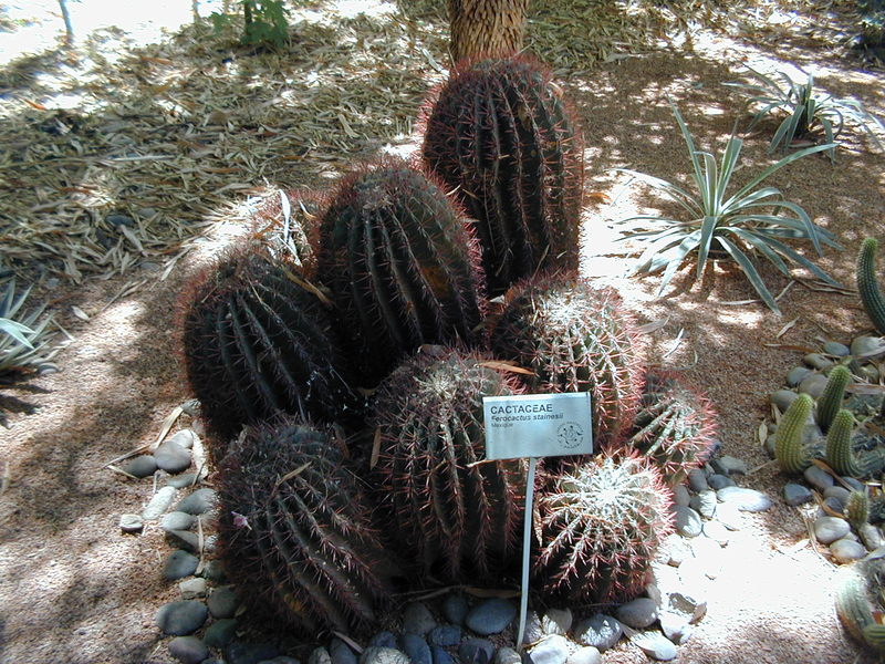 click image to load singular slide #281