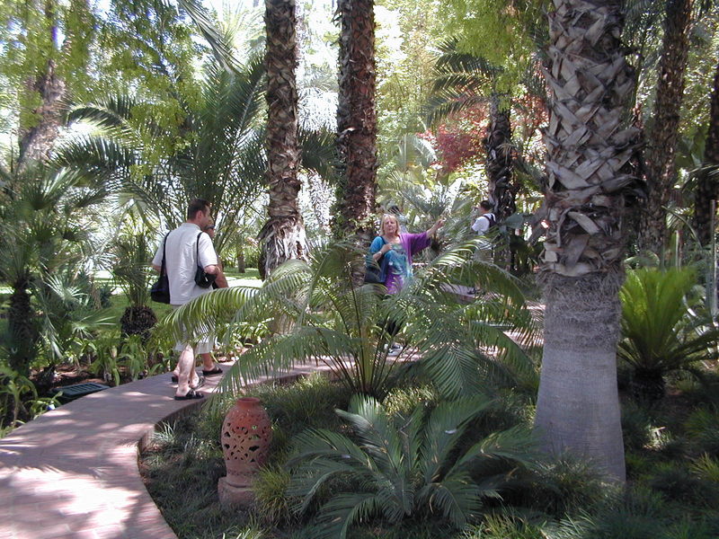 click image to load singular slide #291