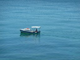 P1020541.JPG 3456x2592 index 88