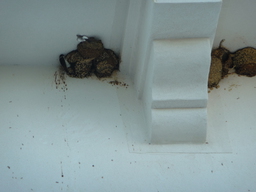 P1020551.JPG 3456x2592 index 96