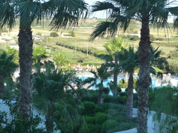 P1020557.JPG 3456x2592 index 97