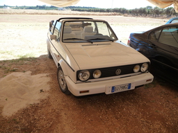 P1020560.JPG 3456x2592 index 100