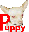 puppy4s.gif image